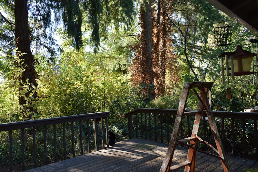 Wooden deck surrounded by trees and foliage